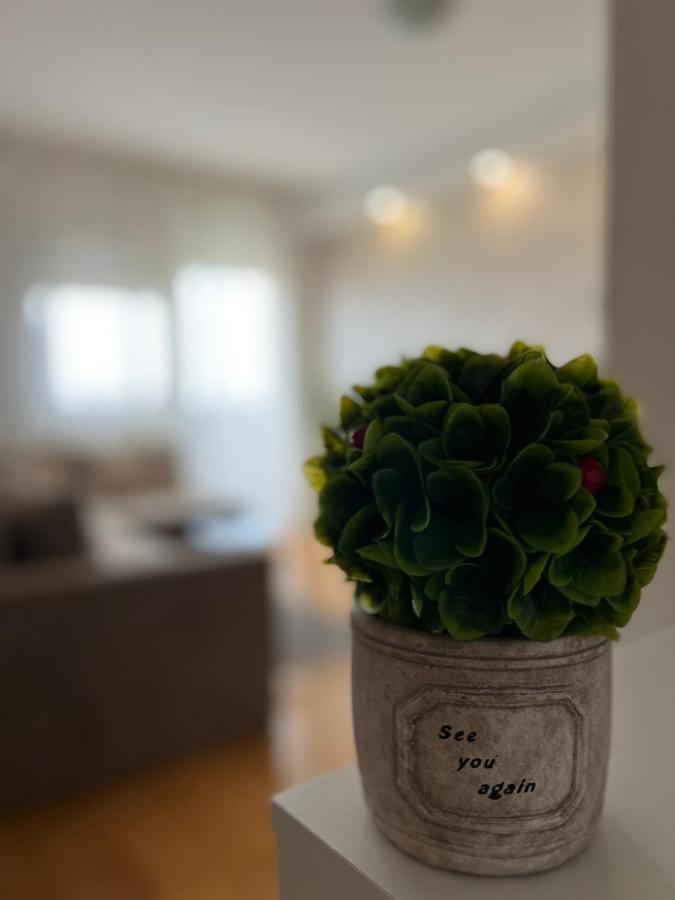 Delete 4 Apartment เบลเกรด ภายนอก รูปภาพ